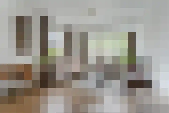 Dyckmeesterstraat 38 Hoogeloon thumbnail 5