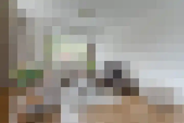 Dyckmeesterstraat 38 Hoogeloon thumbnail 6
