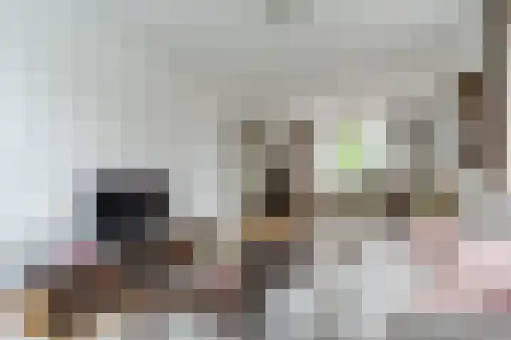 Dyckmeesterstraat 38 Hoogeloon thumbnail 7