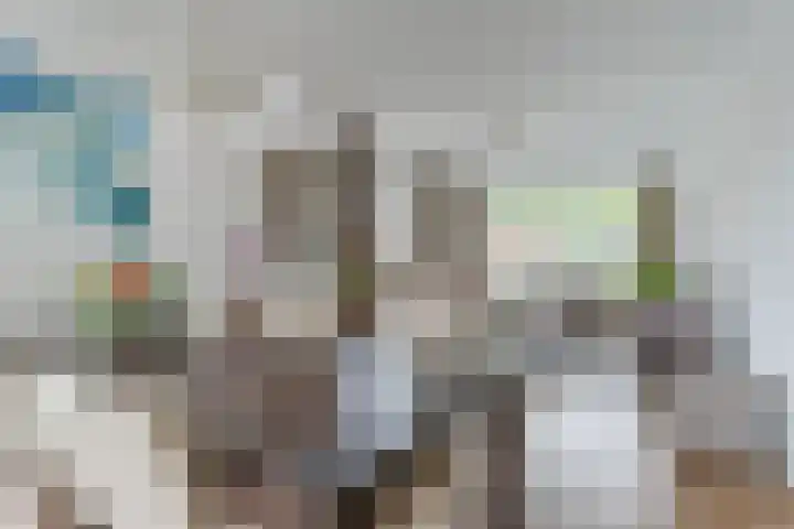 Dyckmeesterstraat 38 Hoogeloon thumbnail 8