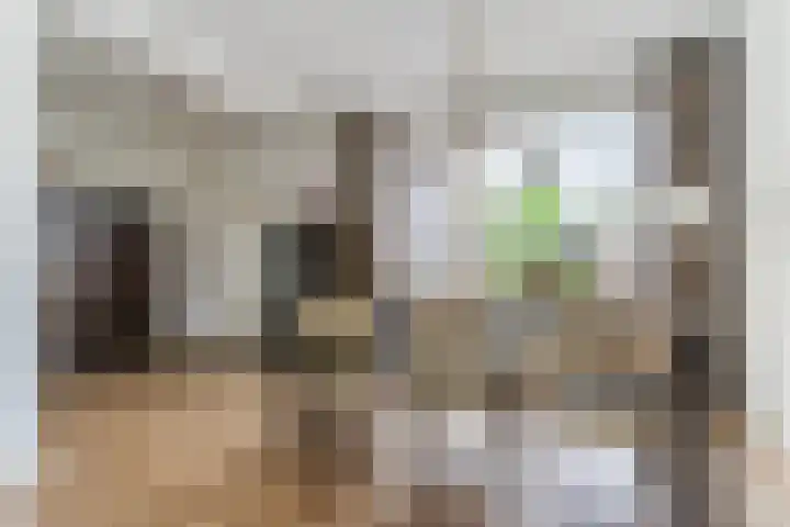 Dyckmeesterstraat 38 Hoogeloon thumbnail 9