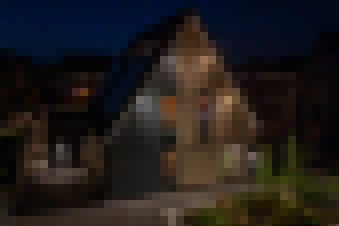Dyksfeart 12 Franeker thumbnail 11