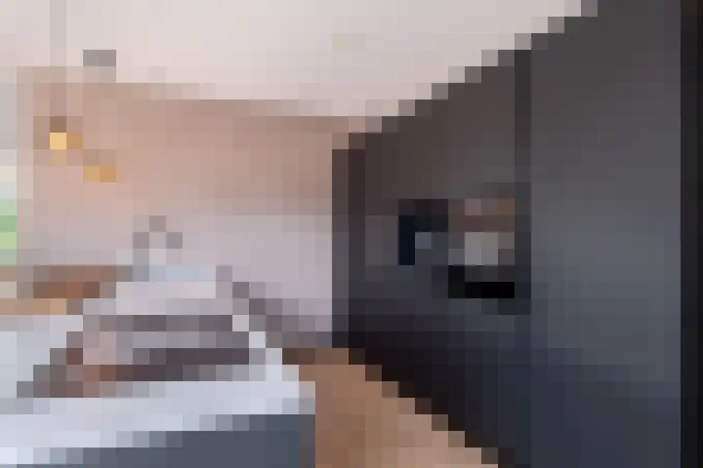 Dyksfeart 12 Franeker thumbnail 26