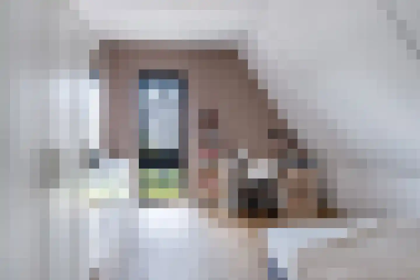 Dyksfeart 12 Franeker thumbnail 37
