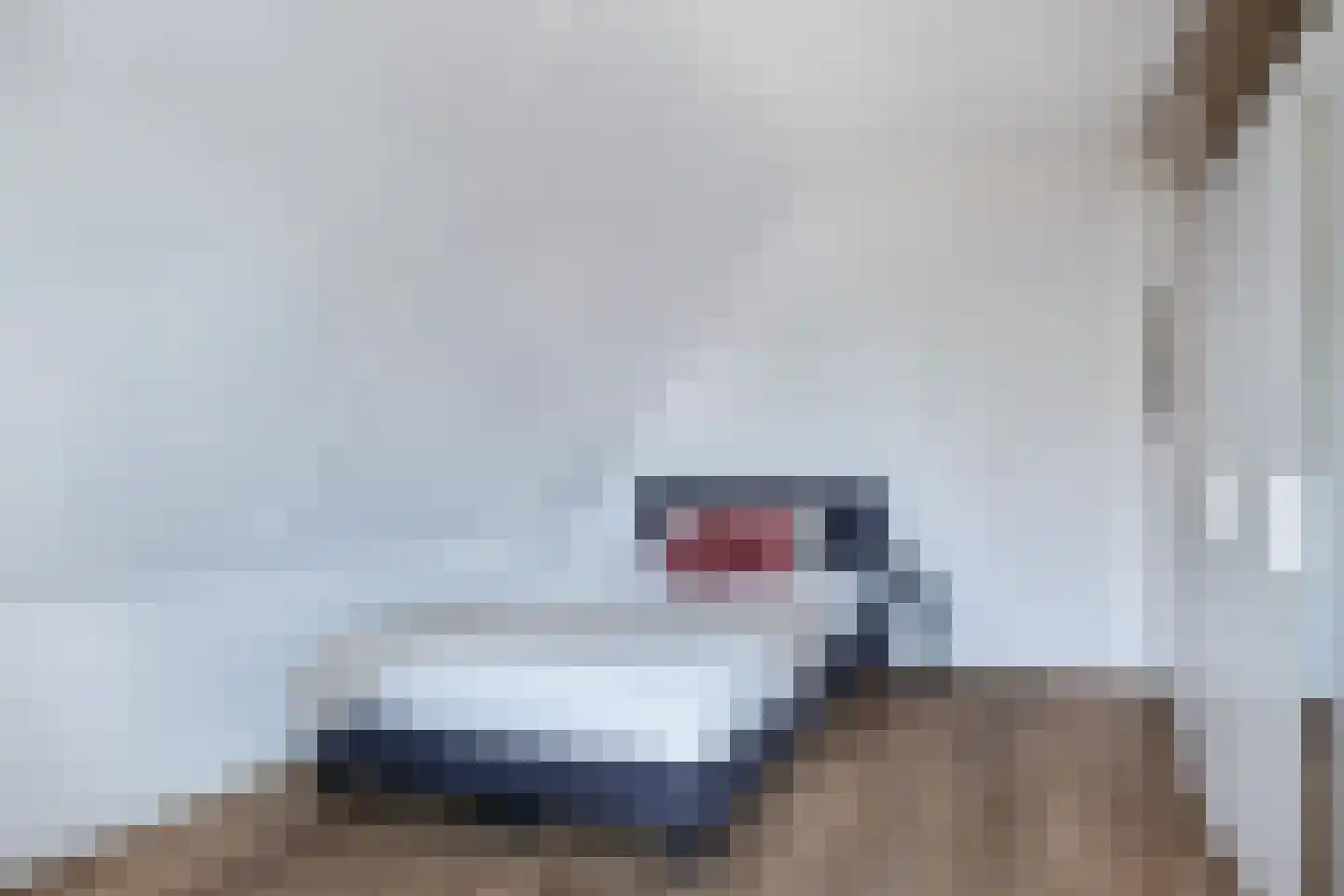 Dyksfeart 12 Franeker thumbnail 38