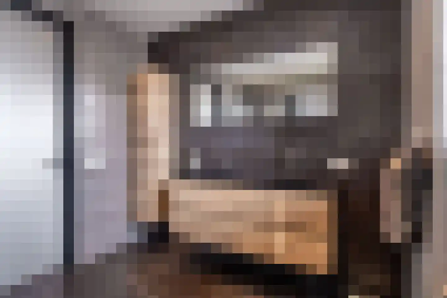 Dyksfeart 12 Franeker thumbnail 41