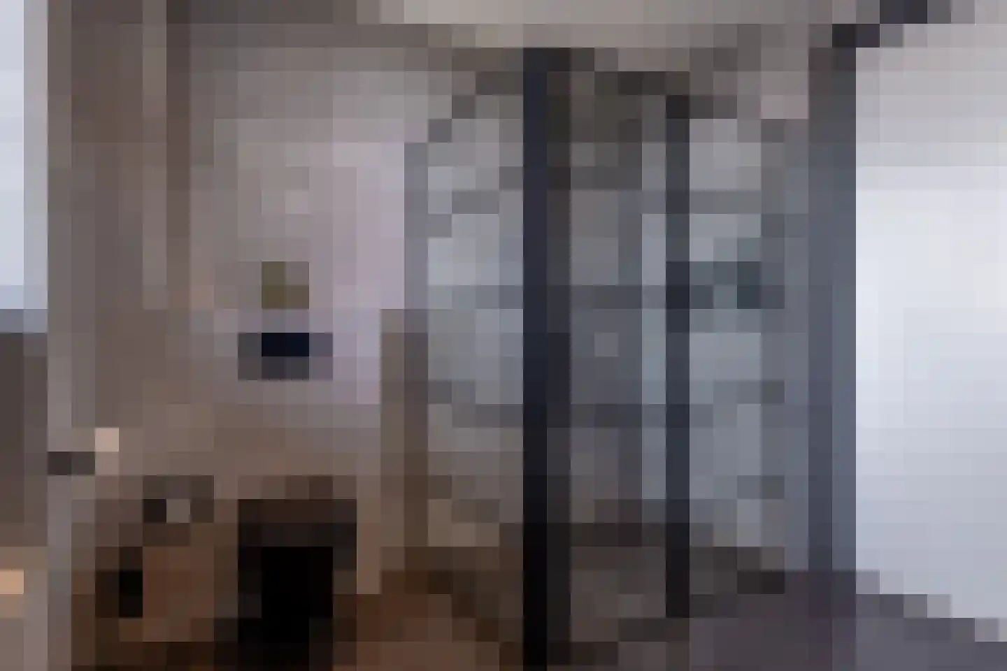 Dyksfeart 12 Franeker thumbnail 42