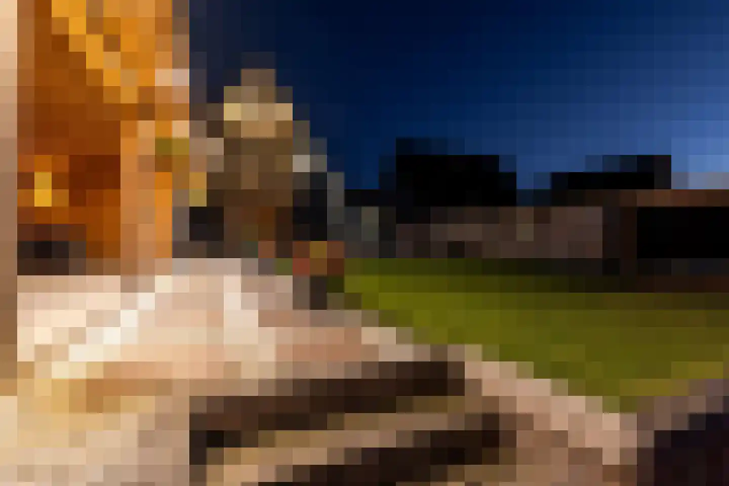 Dyksfeart 12 Franeker thumbnail 55