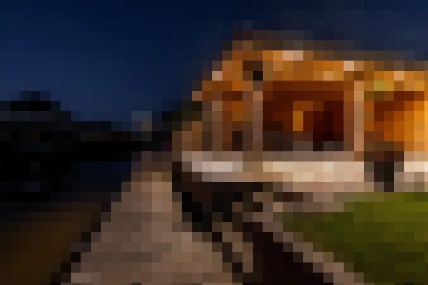 Dyksfeart 12 Franeker thumbnail 56