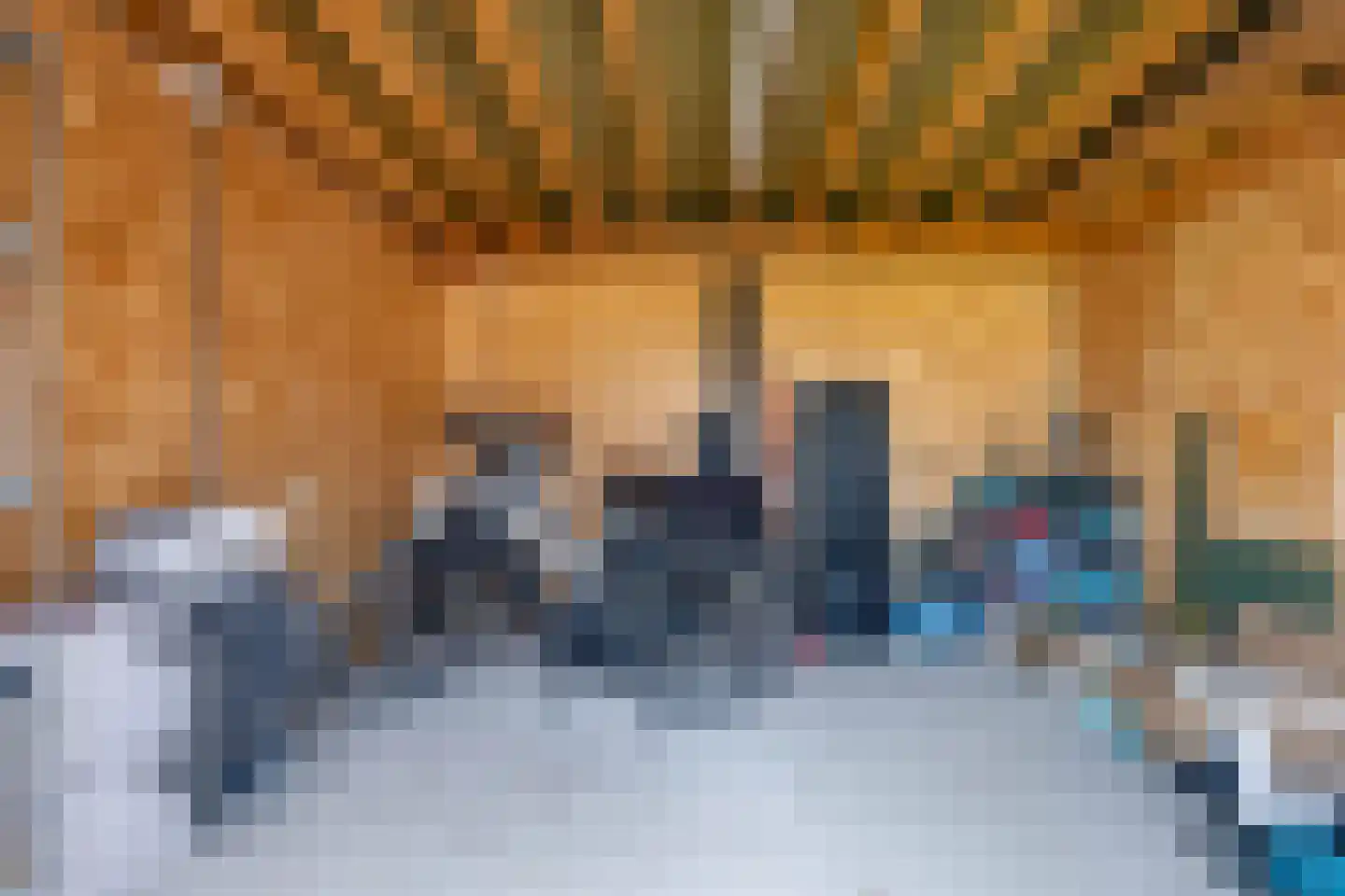 Dyksfeart 12 Franeker thumbnail 61