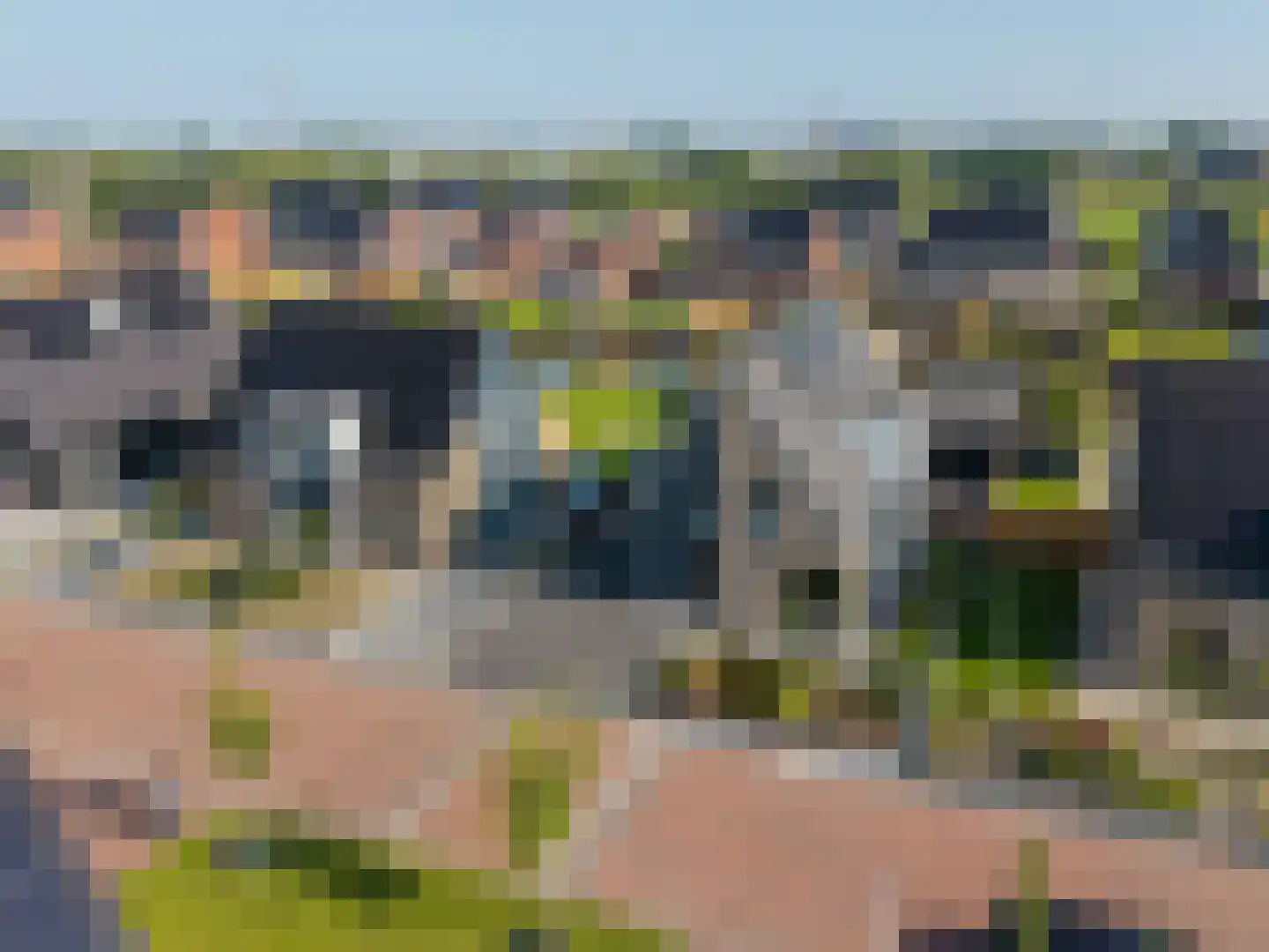 Dyksfeart 12 Franeker thumbnail 7