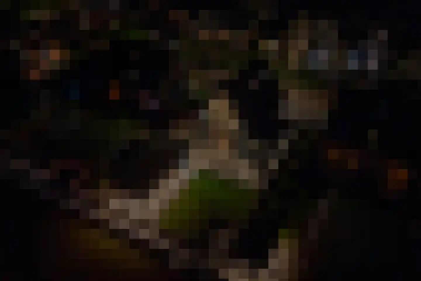 Dyksfeart 12 Franeker thumbnail 70
