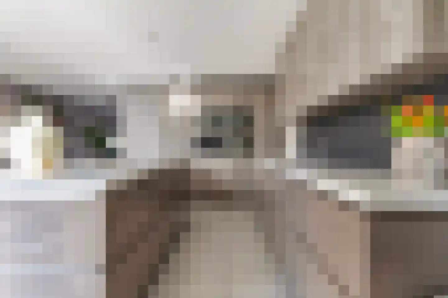 Dyksfeart 21 Franeker thumbnail 15
