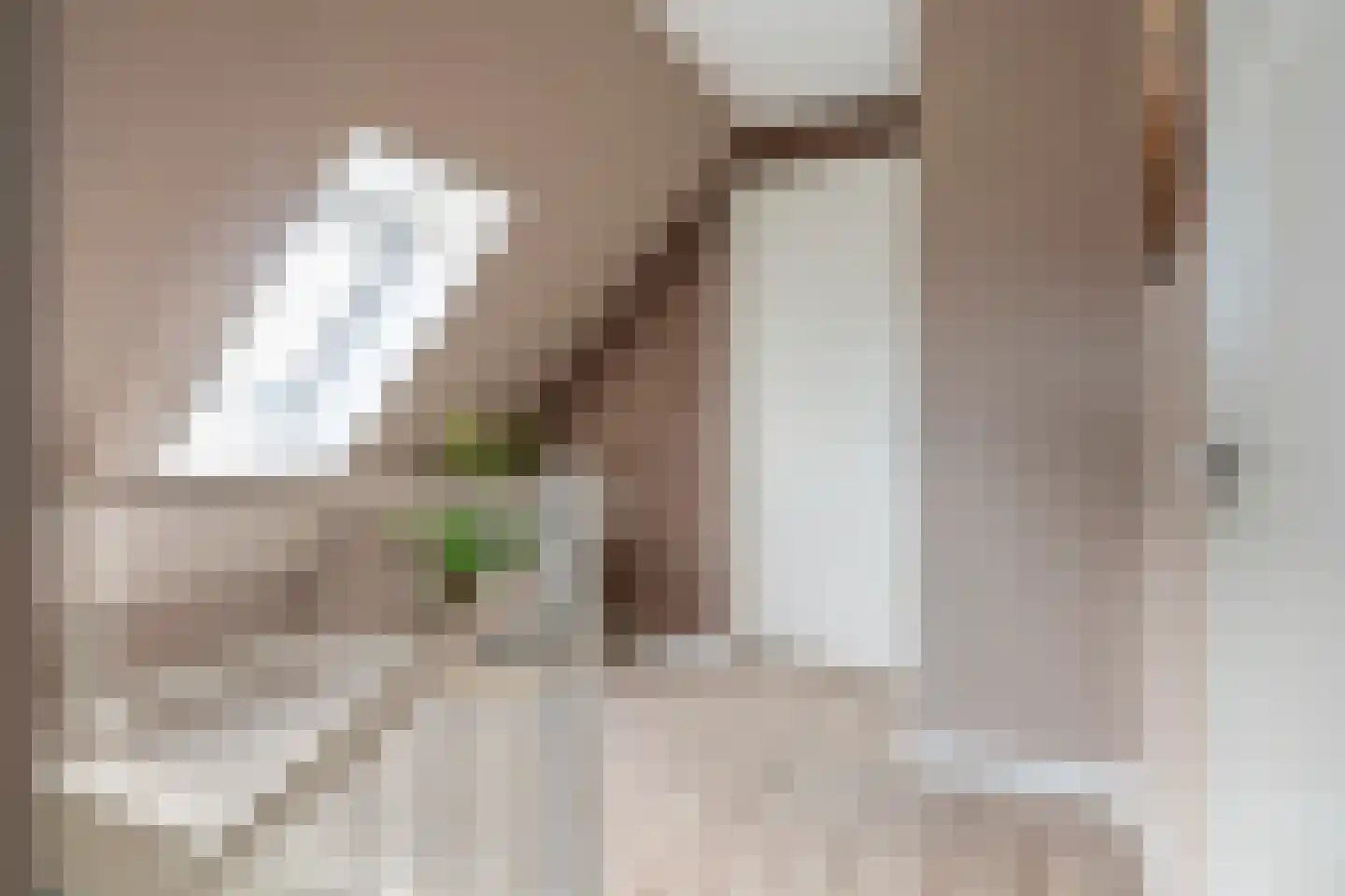 Dyksfeart 21 Franeker thumbnail 22