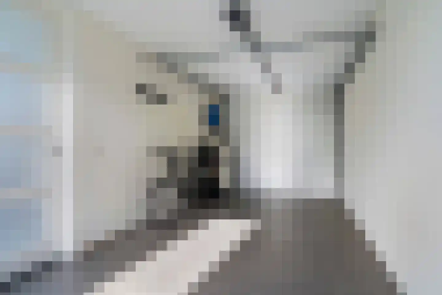Dyksfeart 21 Franeker thumbnail 34