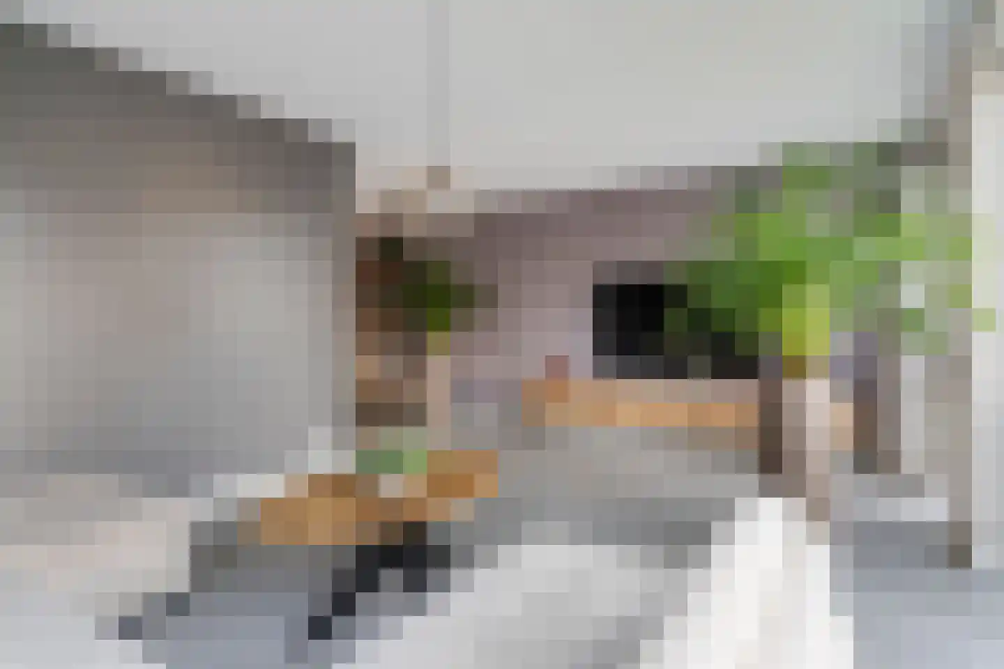 Dyksfeart 21 Franeker thumbnail 8