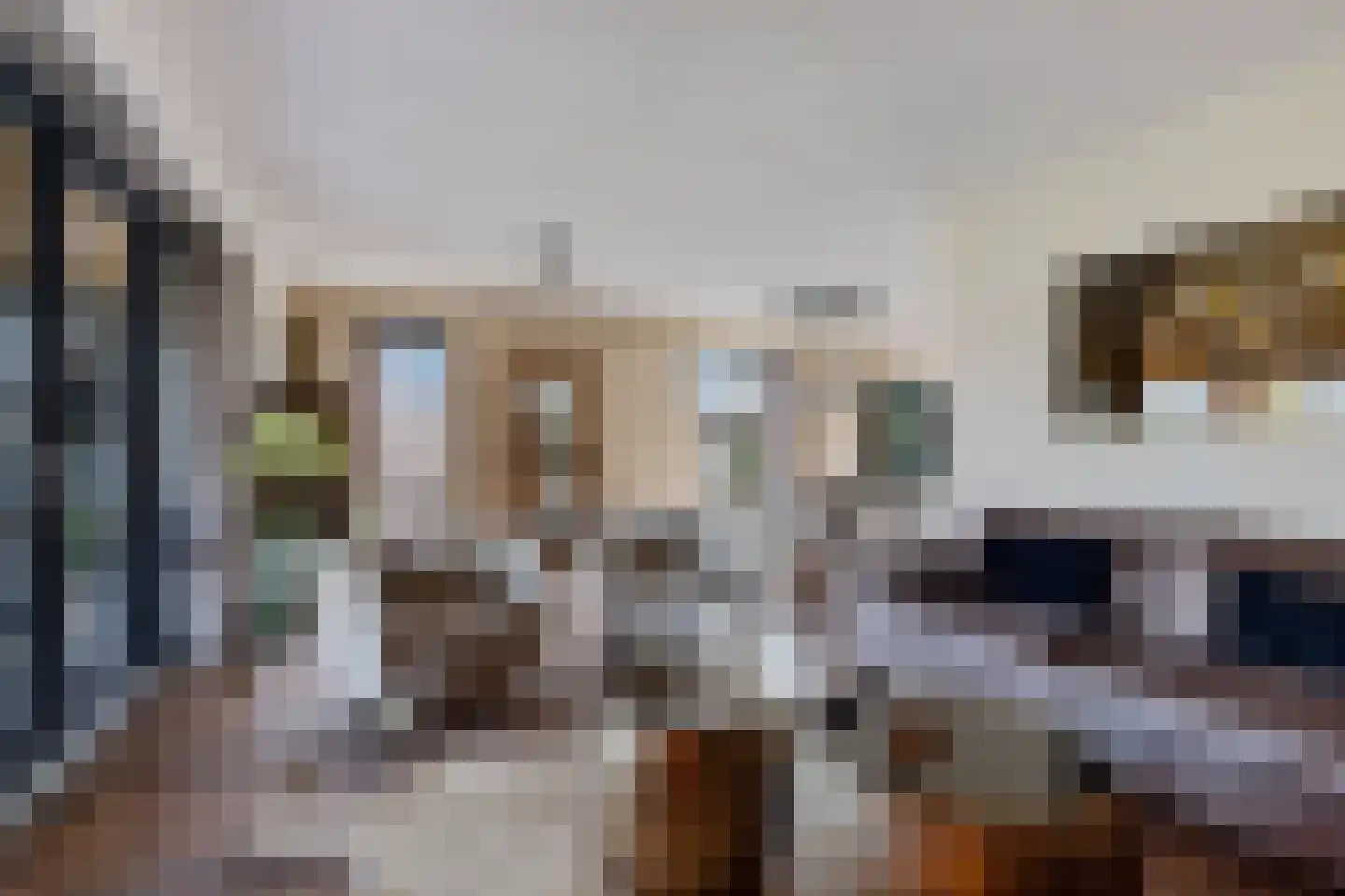 Dyksfeart 22 Franeker thumbnail 20