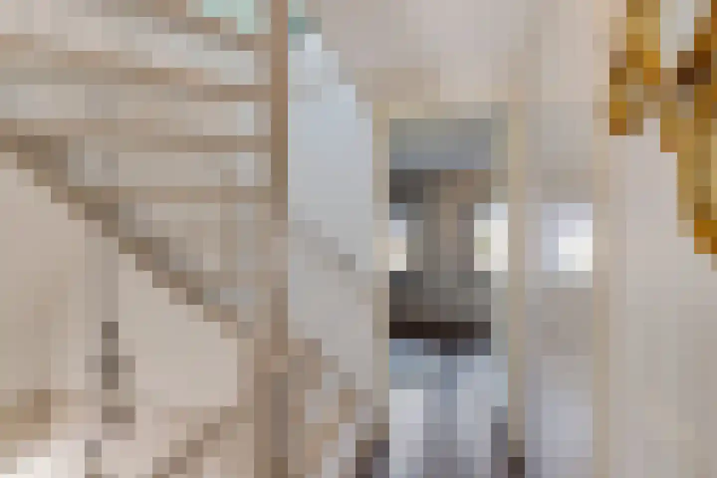Dyksfeart 22 Franeker thumbnail 31