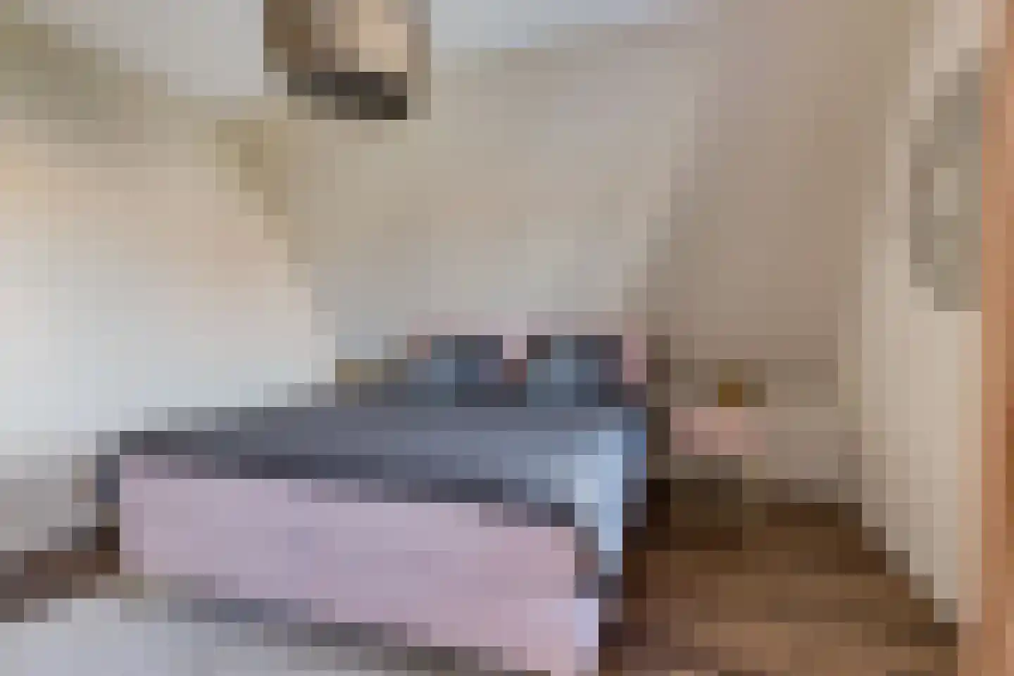 Dyksfeart 22 Franeker thumbnail 32