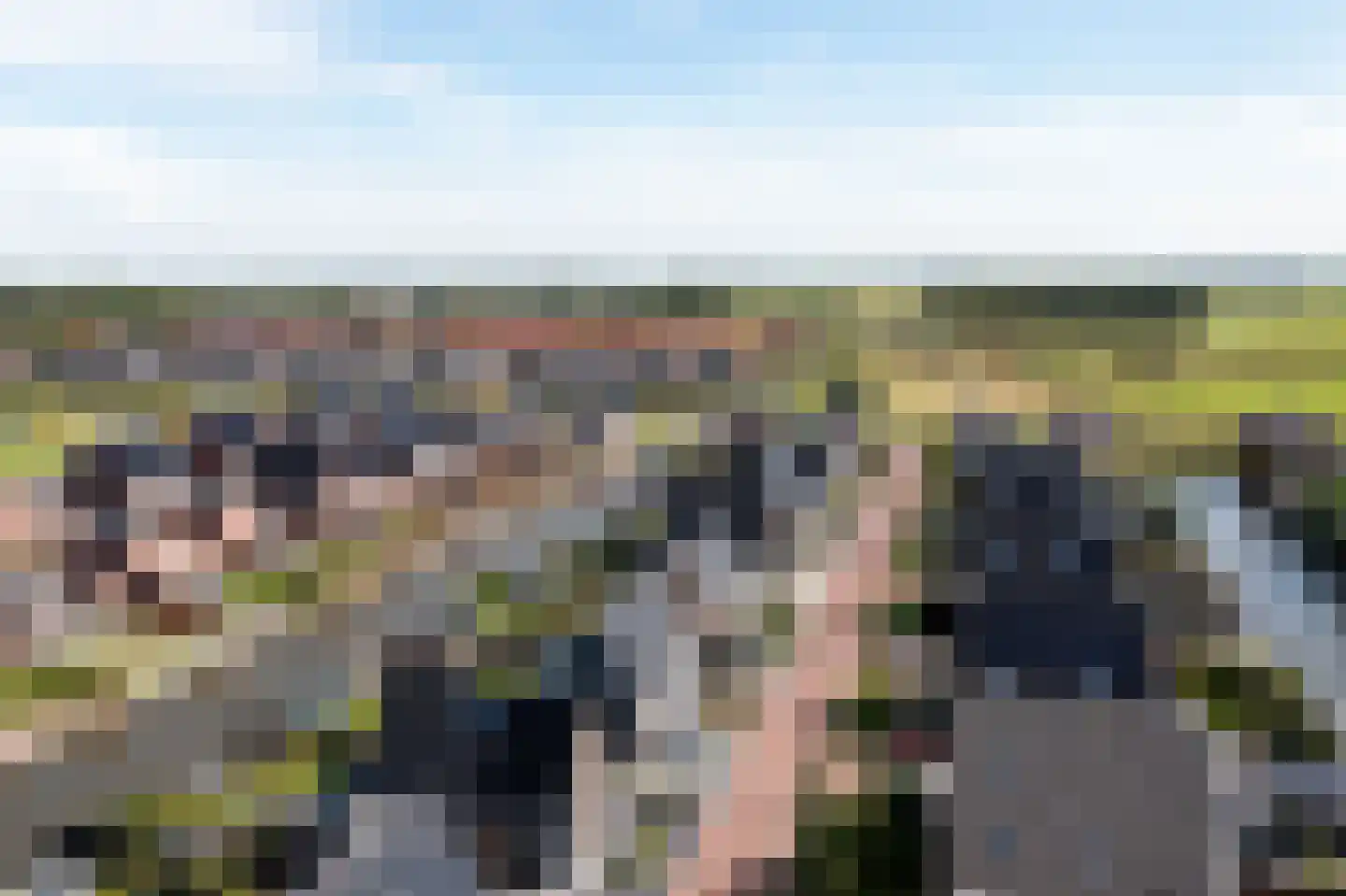 Dyksfeart 22 Franeker thumbnail 61