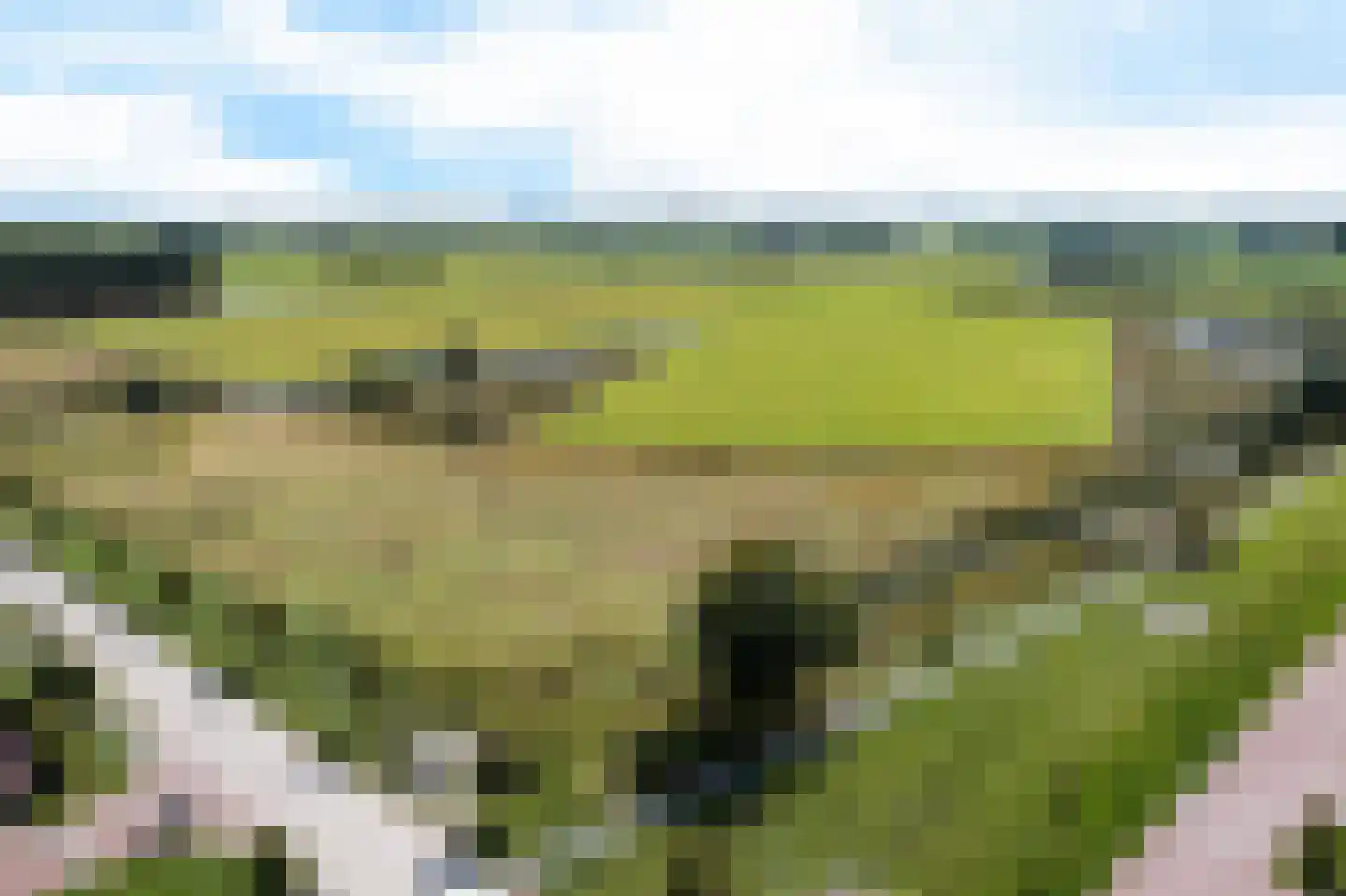 Dyksfeart 22 Franeker thumbnail 67