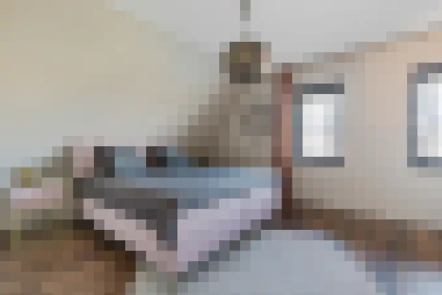 Dyksfeart 22 Franeker thumbnail 7