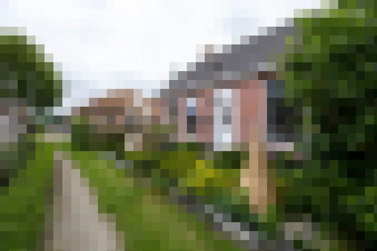 Dykspaad 4 Peazens foto 2