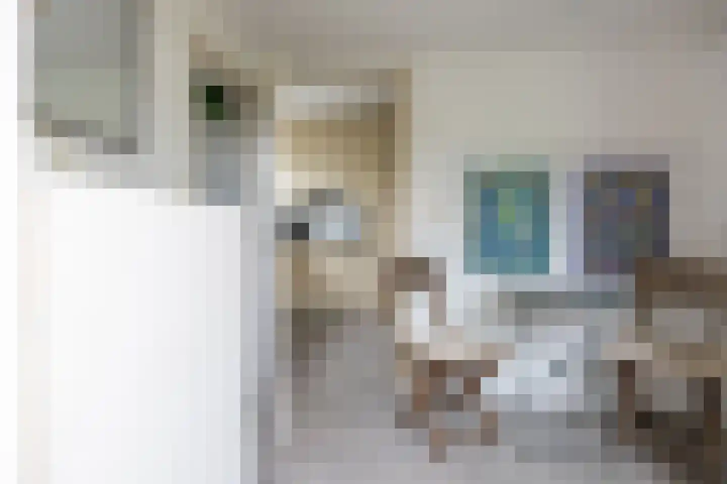 Dykspaad 4 Peazens thumbnail 20