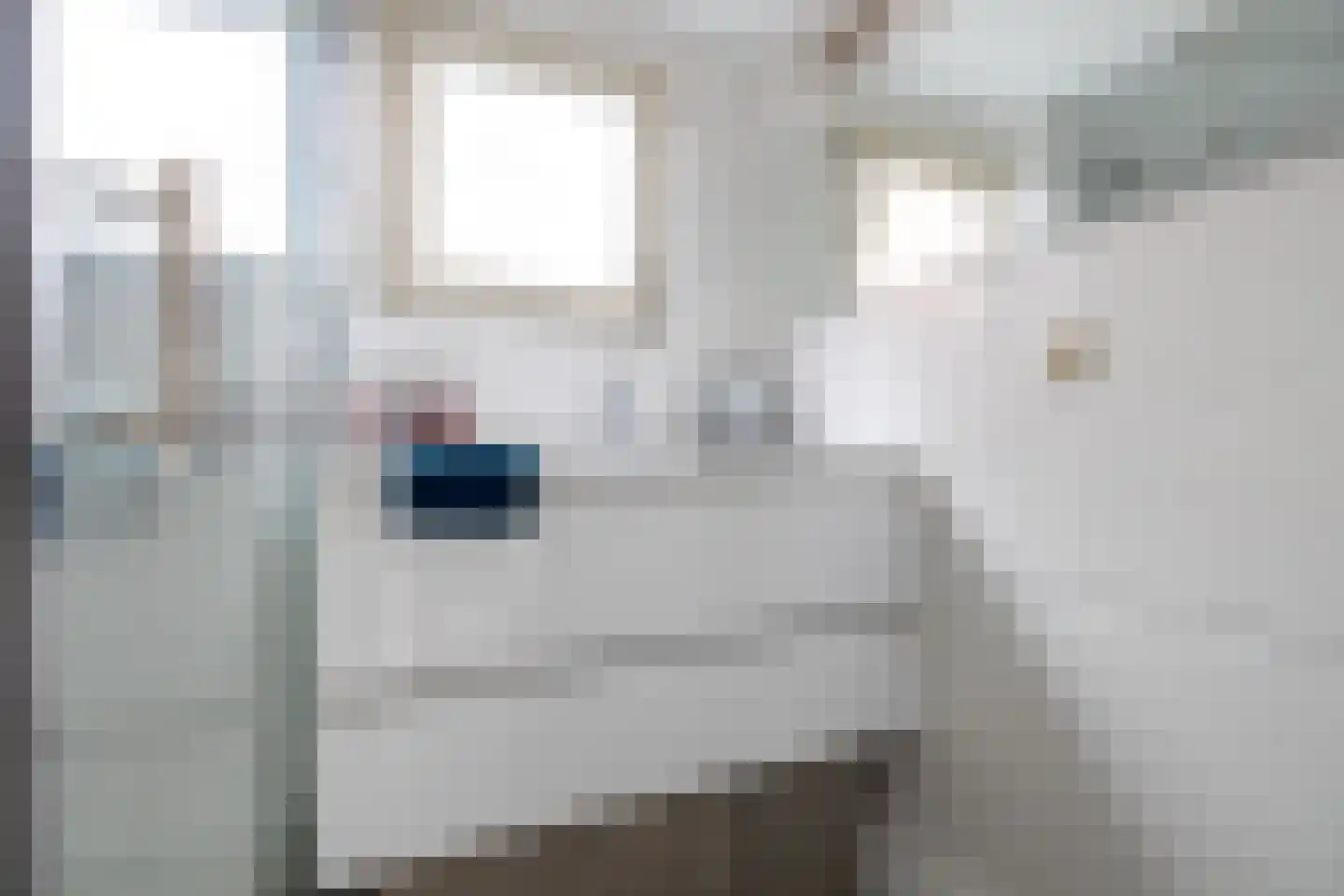 Dykspaad 4 Peazens thumbnail 24
