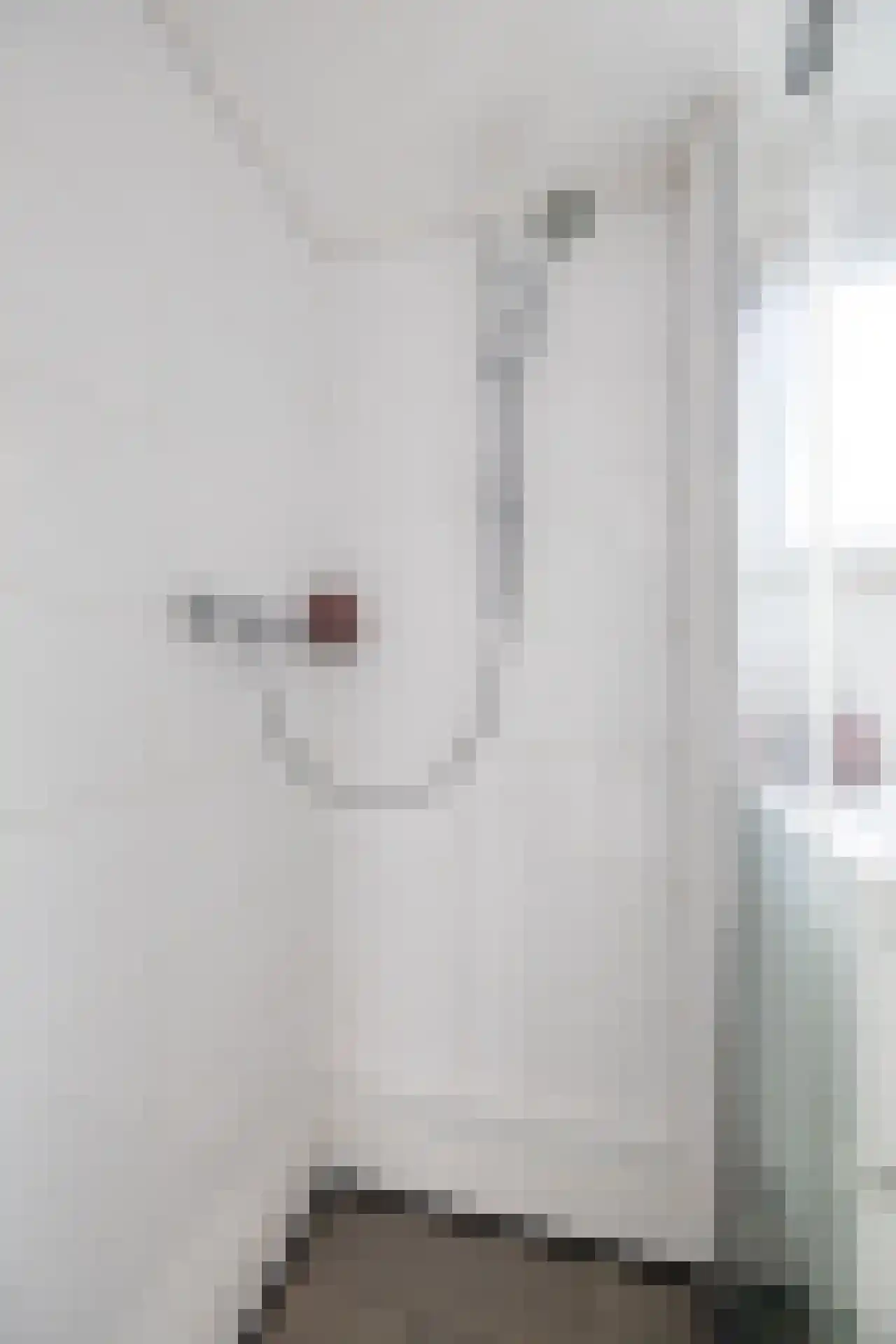 Dykspaad 4 Peazens thumbnail 25