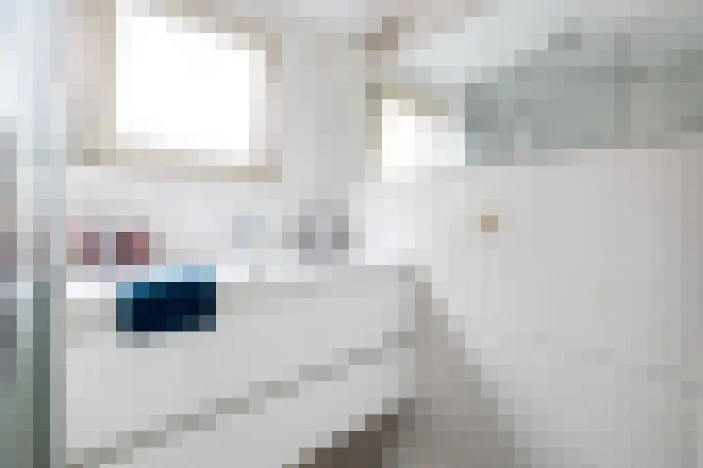 Dykspaad 4 Peazens thumbnail 26