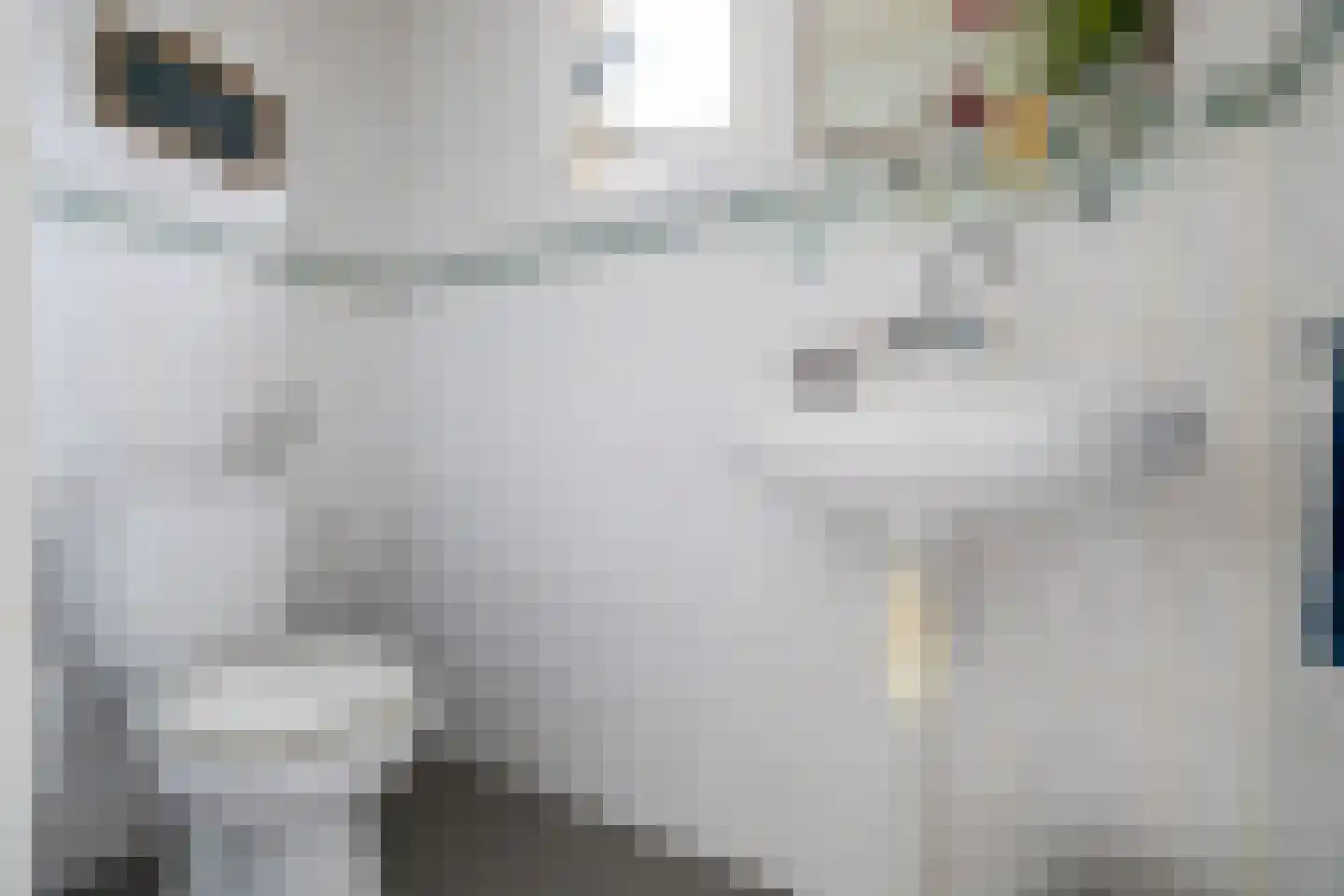 Dykspaad 4 Peazens thumbnail 29