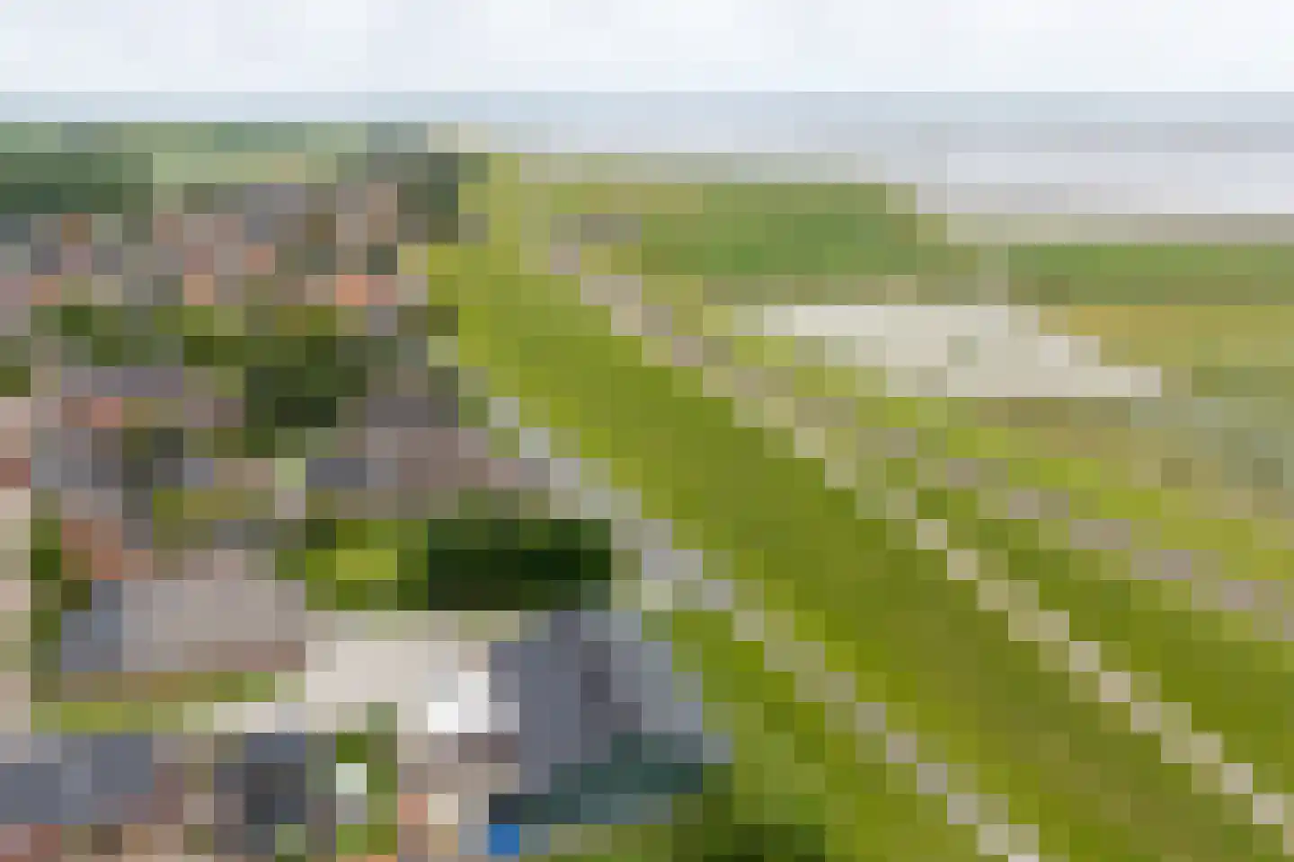Dykspaad 4 Peazens foto 3