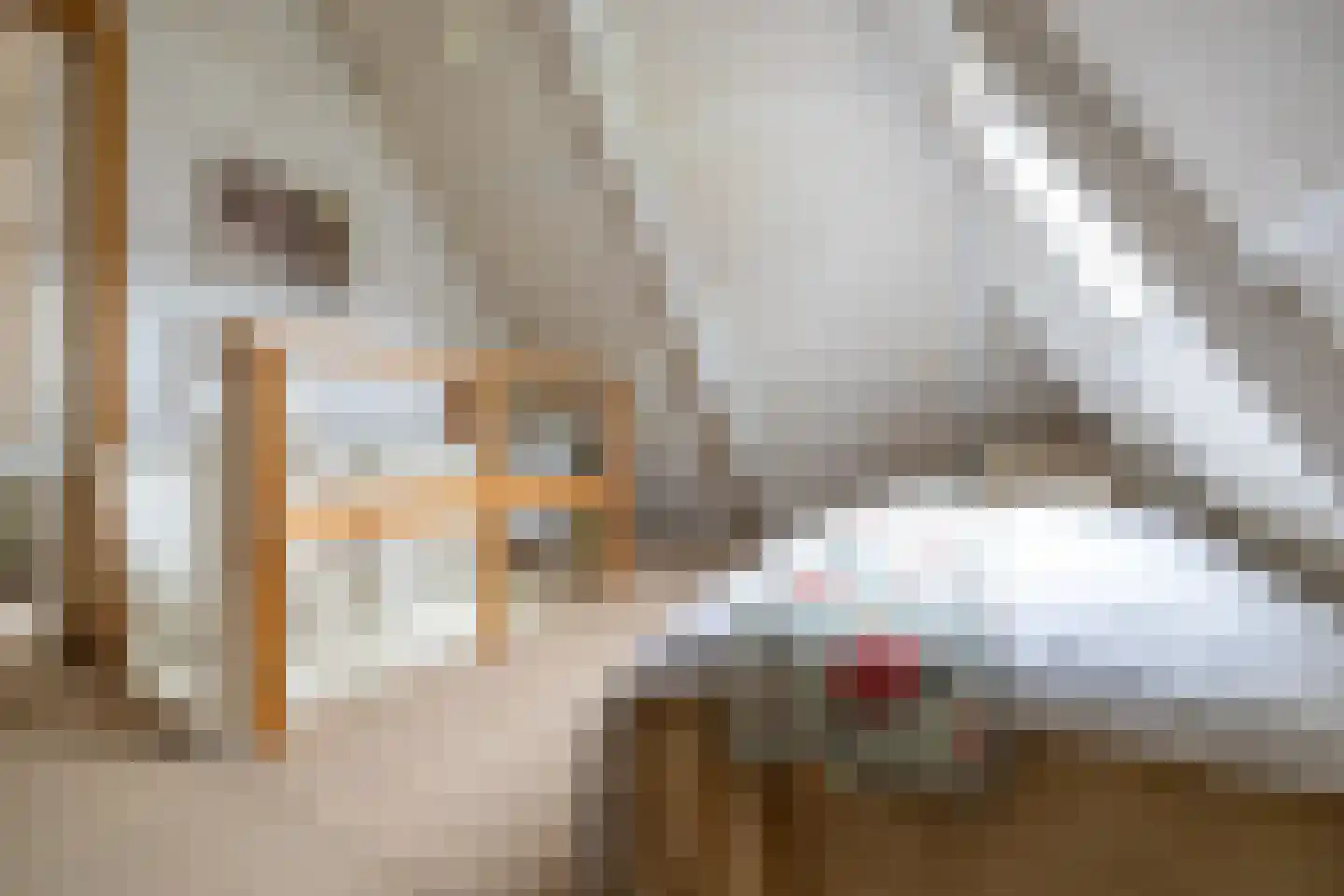 Dykspaad 4 Peazens thumbnail 36