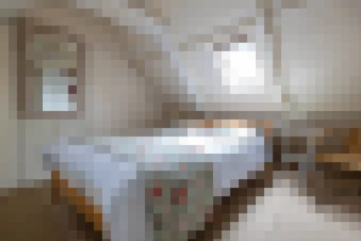 Dykspaad 4 Peazens thumbnail 40