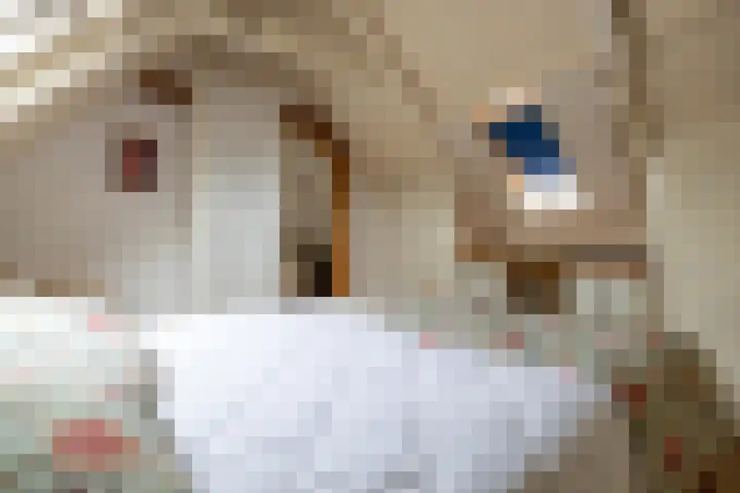 Dykspaad 4 Peazens thumbnail 43