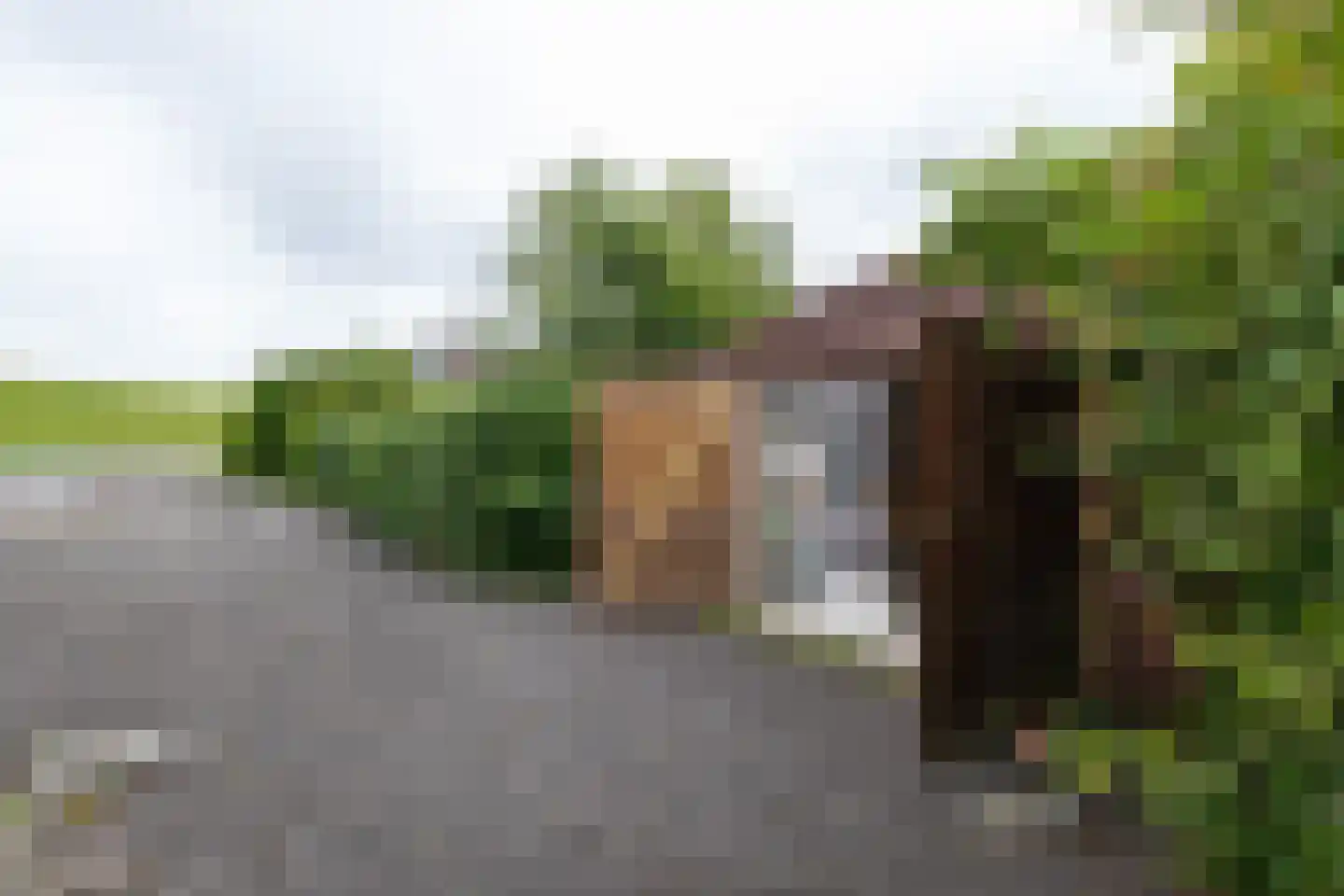 Dykspaad 4 Peazens thumbnail 45