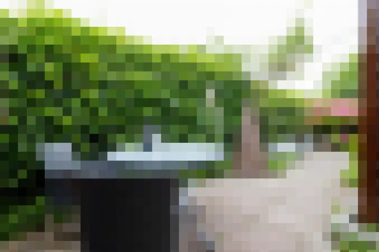 Dykspaad 4 Peazens thumbnail 48