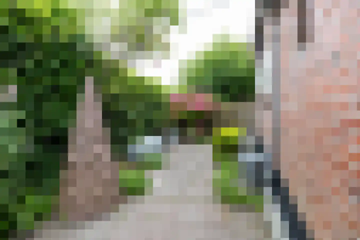 Dykspaad 4 Peazens thumbnail 49