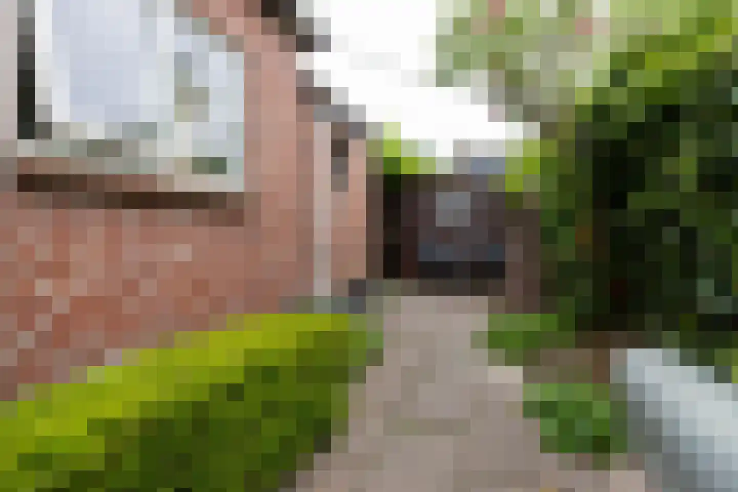 Dykspaad 4 Peazens thumbnail 50