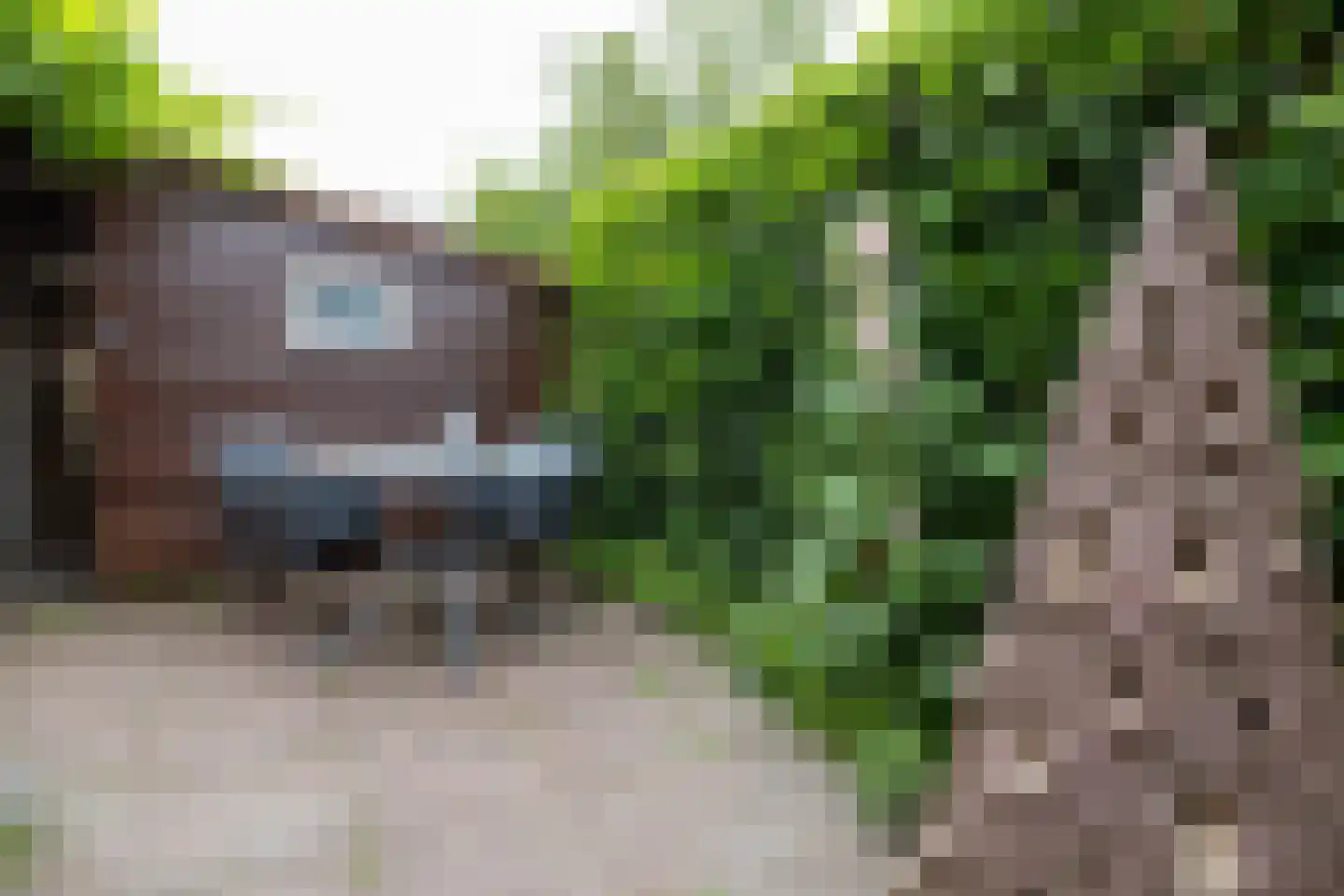 Dykspaad 4 Peazens thumbnail 51