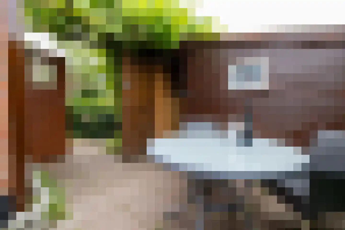 Dykspaad 4 Peazens thumbnail 52