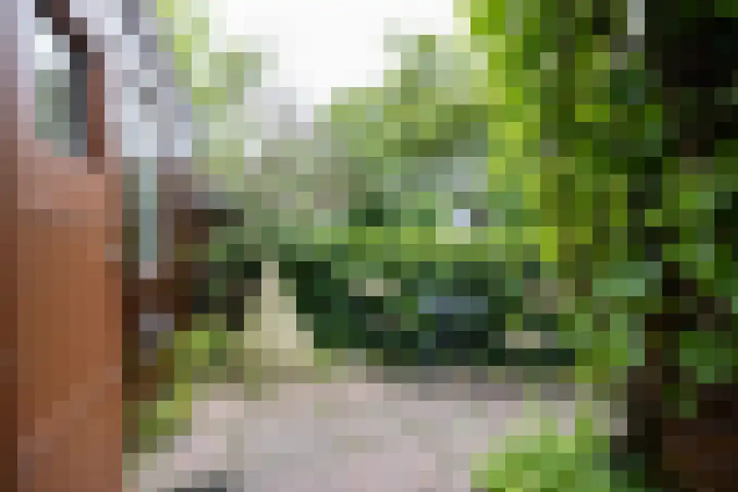 Dykspaad 4 Peazens thumbnail 53