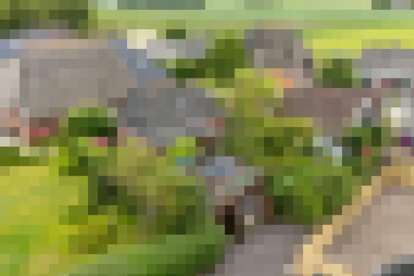 Dykspaad 4 Peazens thumbnail 59