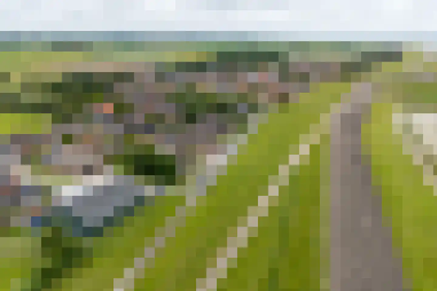 Dykspaad 4 Peazens thumbnail 60
