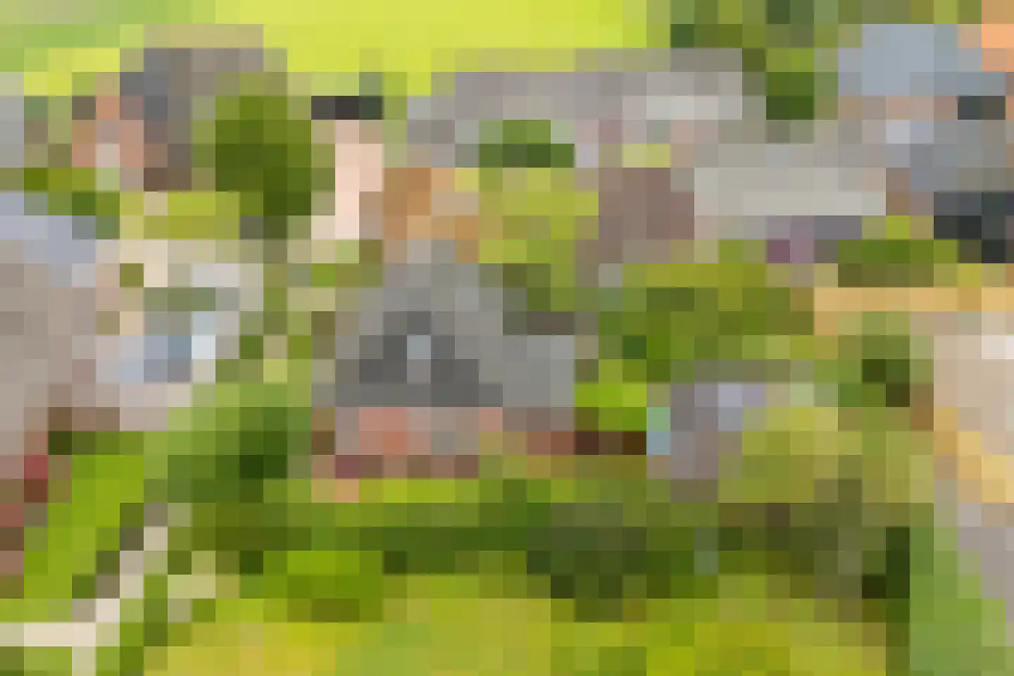 Dykspaad 4 Peazens thumbnail 61