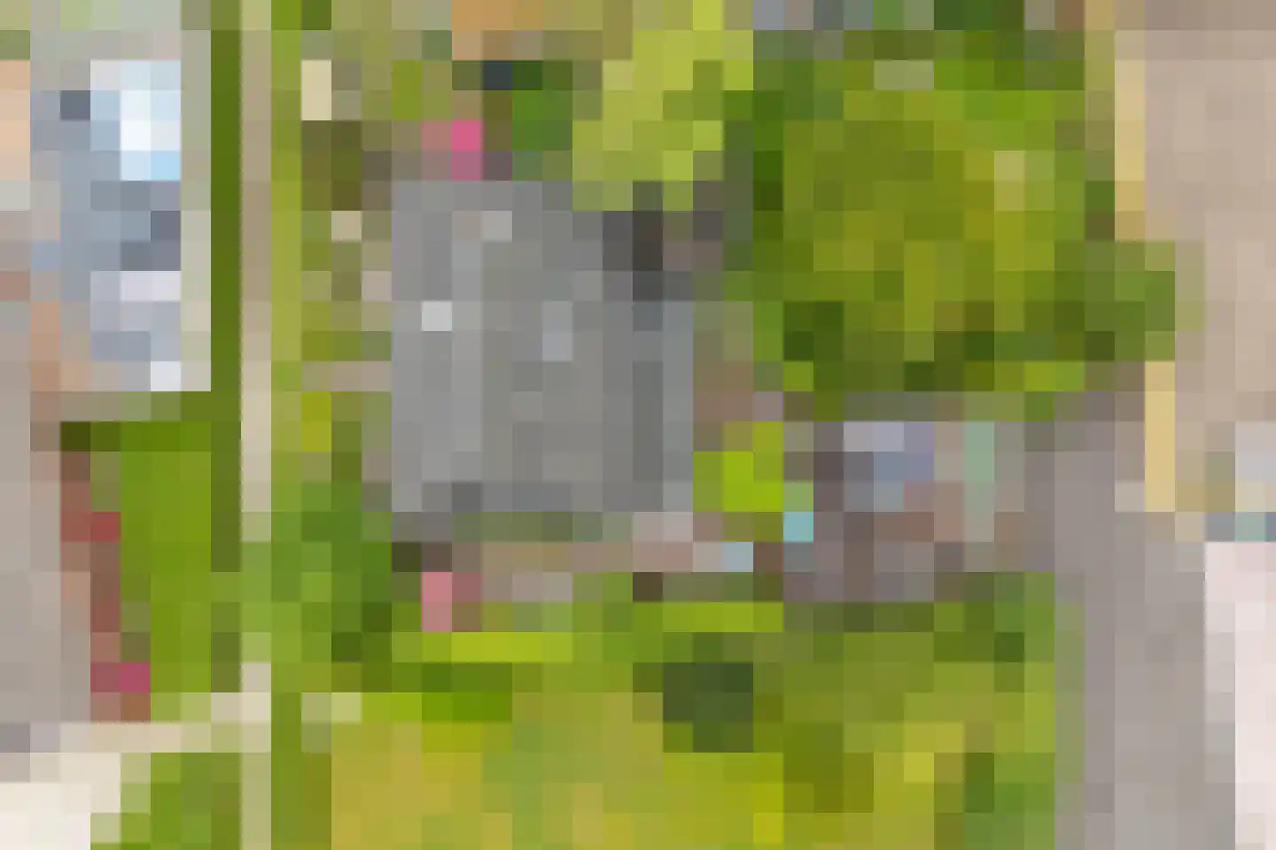 Dykspaad 4 Peazens thumbnail 62