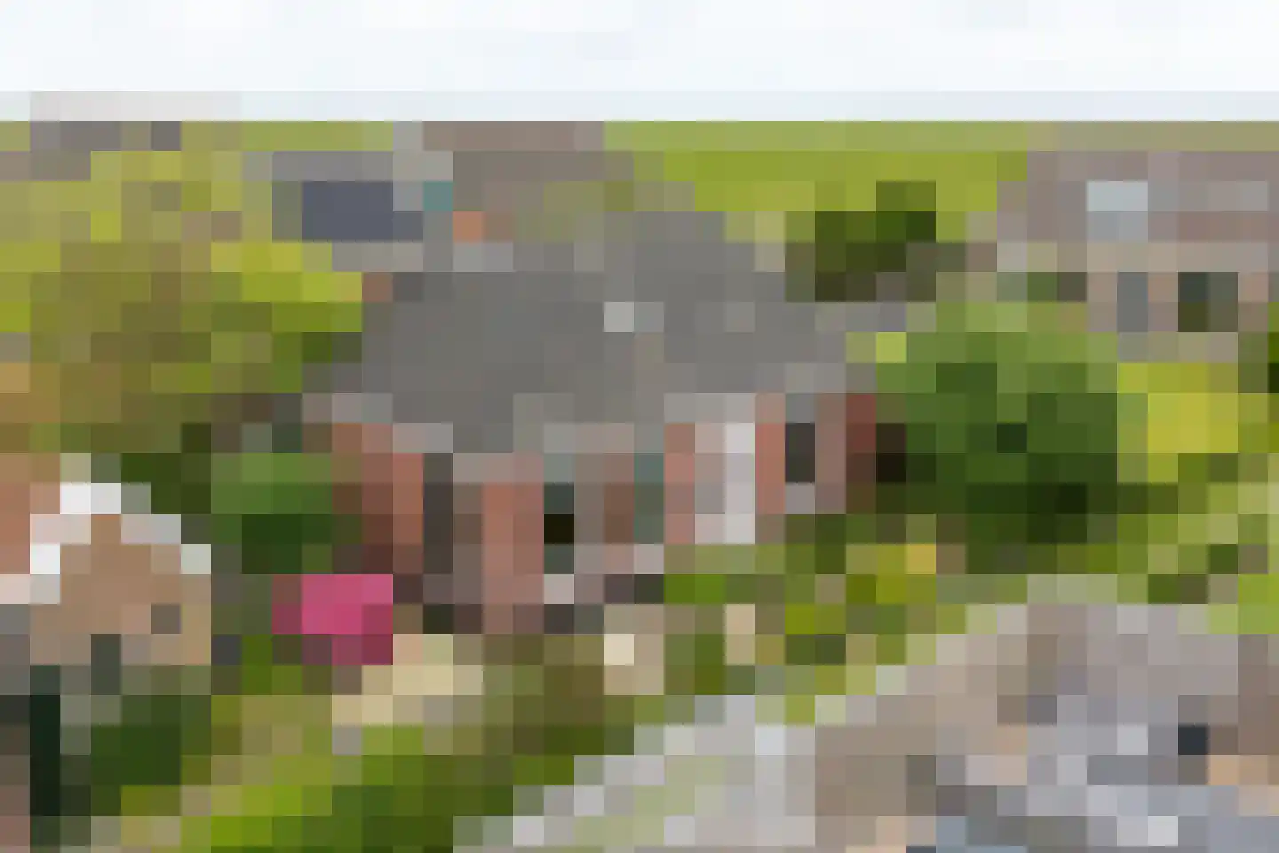 Dykspaad 4 Peazens thumbnail 63