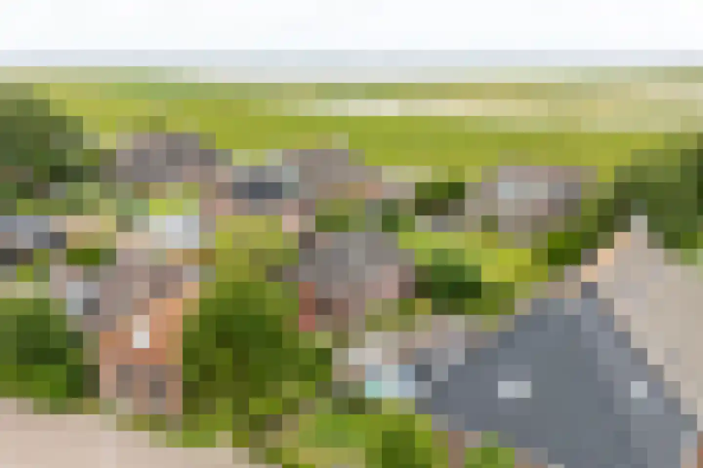 Dykspaad 4 Peazens thumbnail 64