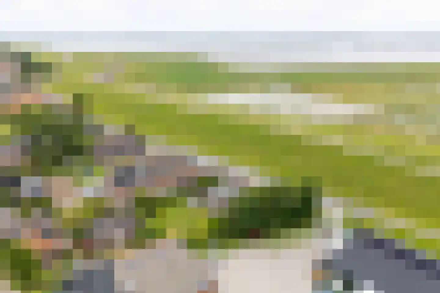 Dykspaad 4 Peazens thumbnail 65